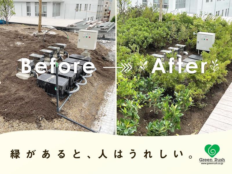 株式会社グリーンラッシュの求人・転職情報