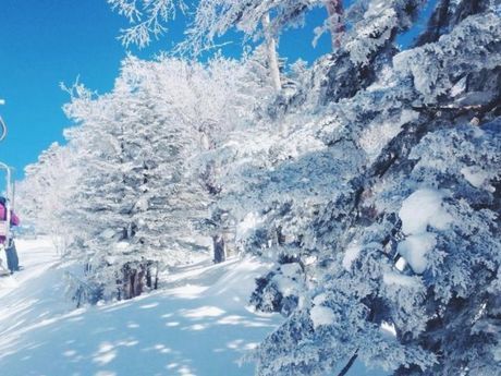 株式会社ヒューマニックのアルバイト・バイト求人情報-02