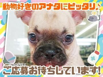 ビバペッツ神戸玉津インター店のアルバイト・バイト求人情報-03
