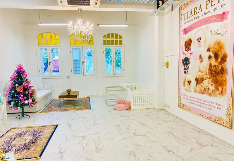 株式会社 ティアラジャパンのアルバイト・バイト求人情報-01