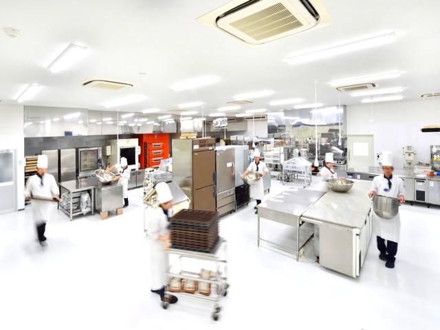 有限会社チョコレートショップの求人・転職情報