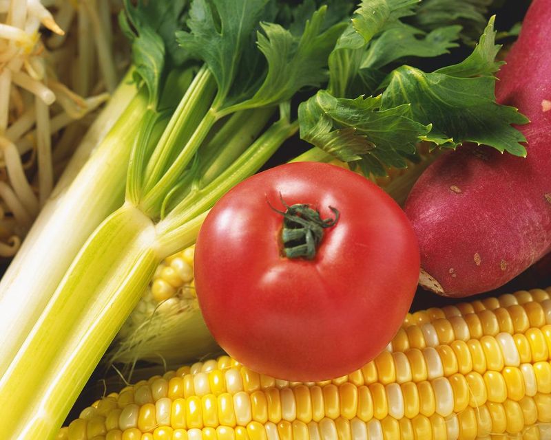 エイジス四国株式会社のアルバイト・バイト求人情報-11