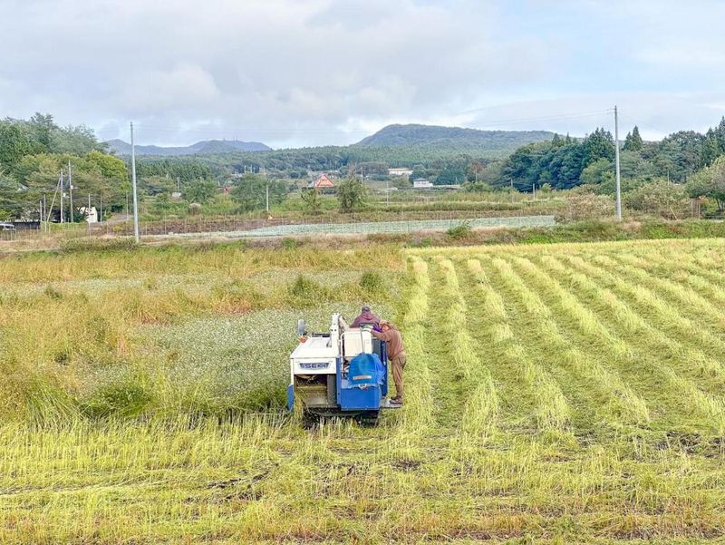 株式会社赤城深山ファームのアルバイト・バイト求人情報-03