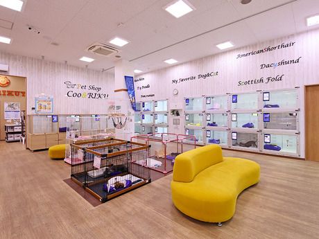 Coo&RIKU(クーアンドリク)　新潟西店のアルバイト・バイト求人情報-04