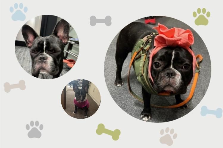 株式会社Ｒｅ－Ａｒｔの求人・転職情報