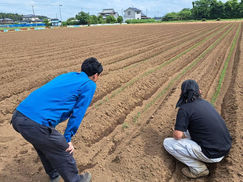 株式会社武蔵野種苗園の求人・転職情報