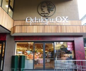 Odakyu OX ʐwX