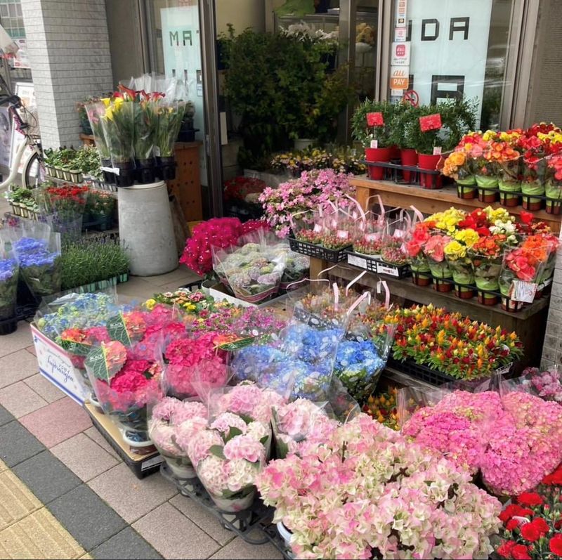 有限会社フラワーショップ松田の求人情報