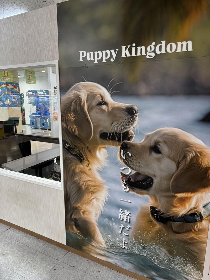 ワンワンショップpuppyKingdomのアルバイト・バイト求人情報-05