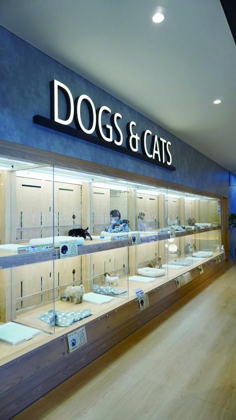 株式会社ジャパンペットコミュニケーションズの求人・転職情報