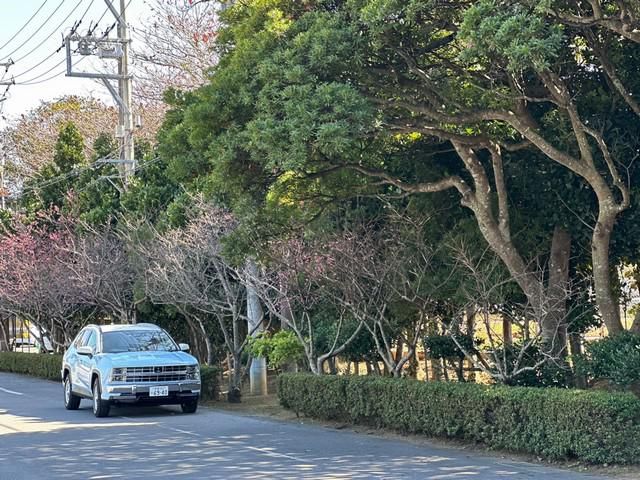 有限会社クワトロ