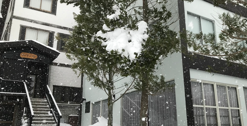 ティアンの派遣求人情報