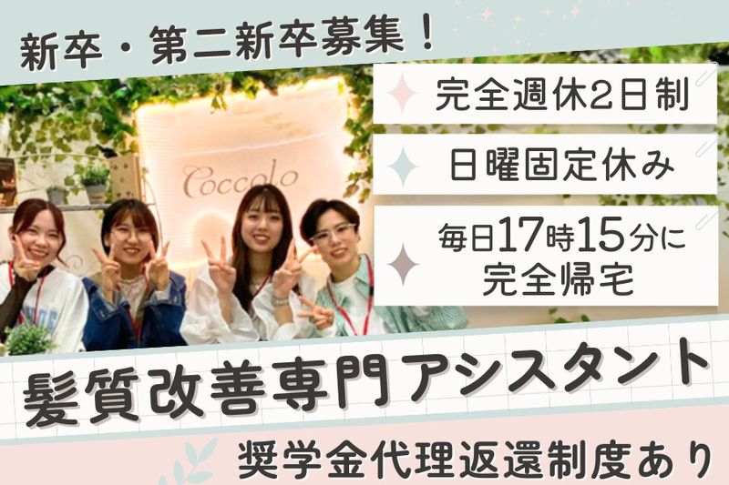 株式会社COCCOLO BRAINS-0003の求人・転職情報