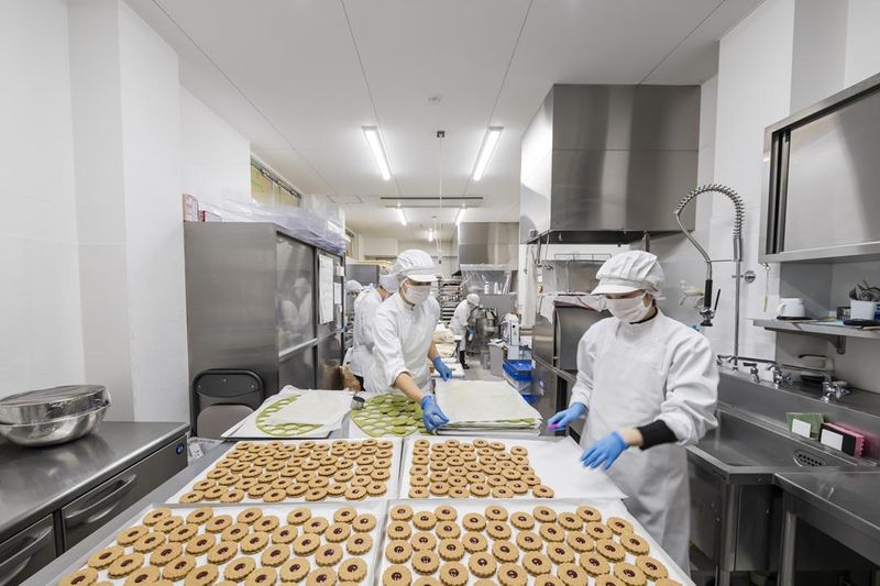 株式会社ディースレッドの求人・転職情報