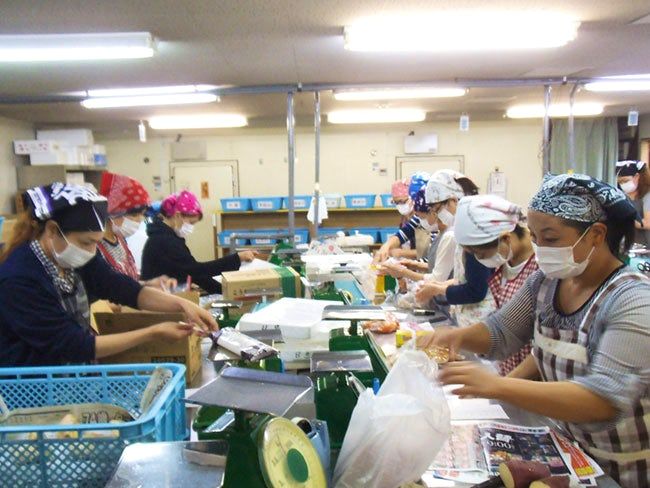 サンスリー株式会社のアルバイト・バイト求人情報-02