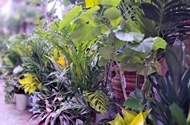 ㈱大阪ナックリースの求人・転職情報