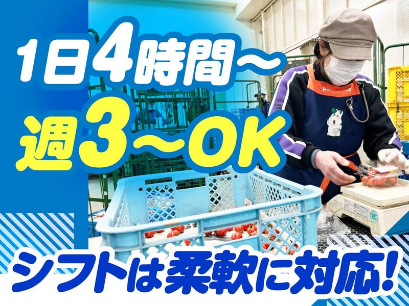 株式会社パルライン