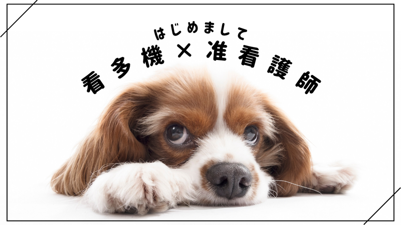 セントケア西日本株式会社の求人・転職情報