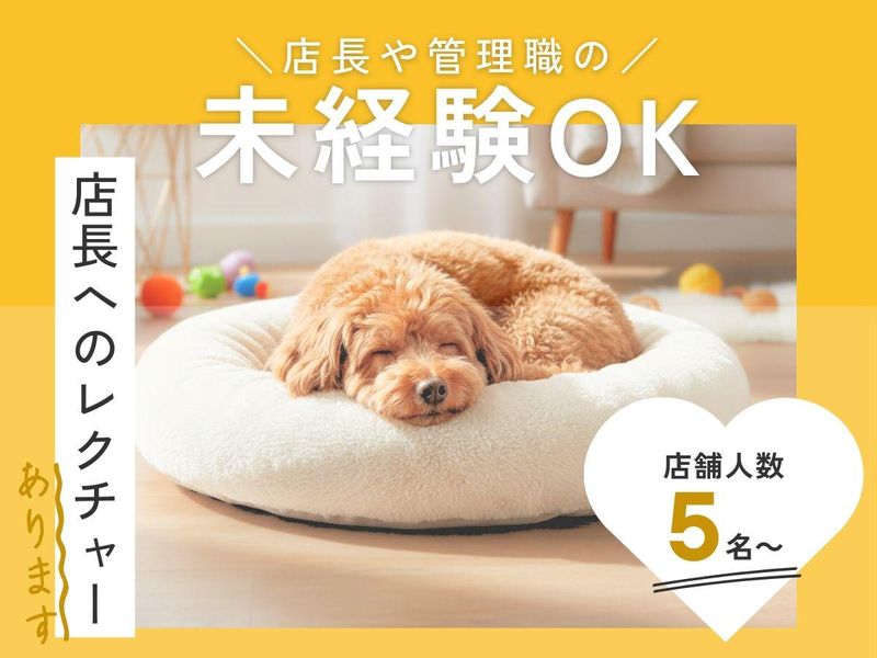 株式会社プラス・シー本社窓口-0033の求人・転職情報