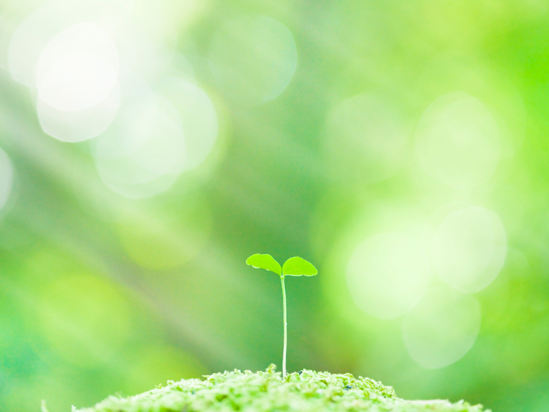 有限会社　穂乃香の求人・転職情報