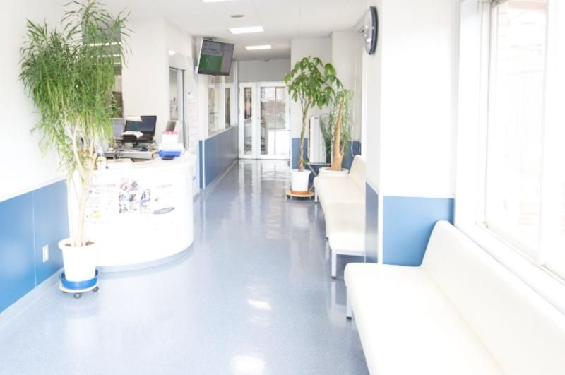 有限会社ASA.A.H.の求人・転職情報