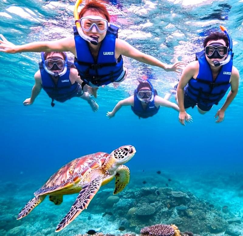 合同会社Minami Project　石垣島ツアーガイド All Blueの求人・転職情報-03