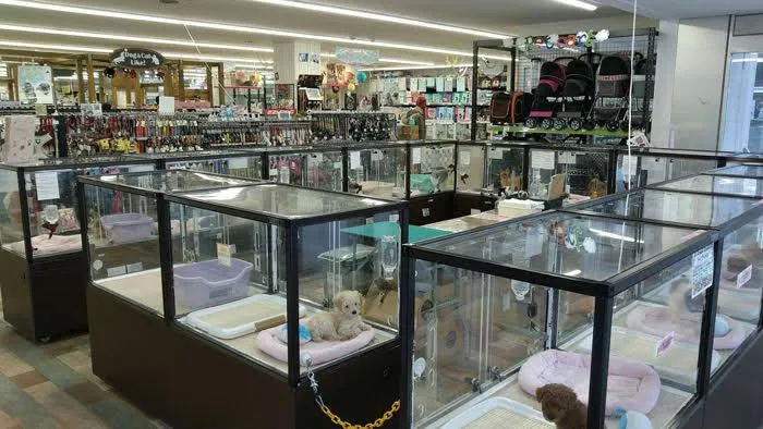 Japan Pets Trading 新発寒店のアルバイト・バイト求人情報-03