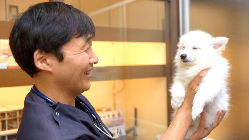 株式会社AddPet-0006の求人・転職情報