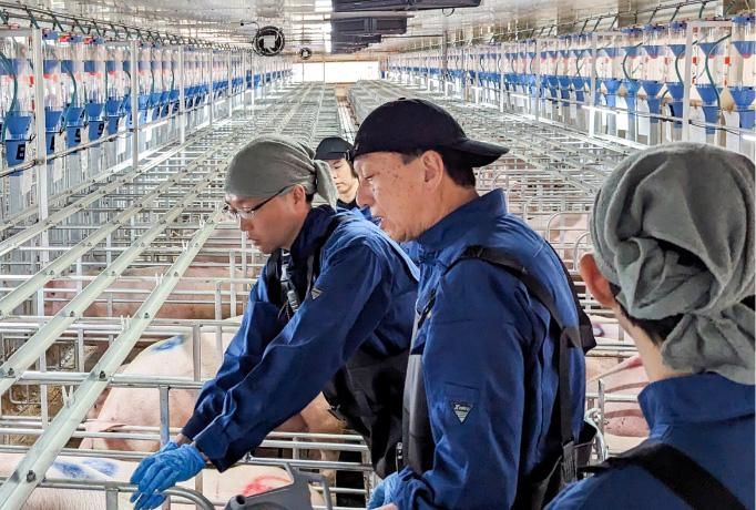 タローファーム株式会社