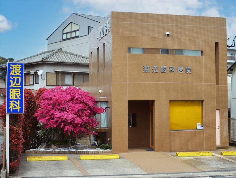 渡辺眼科医院の求人・転職情報