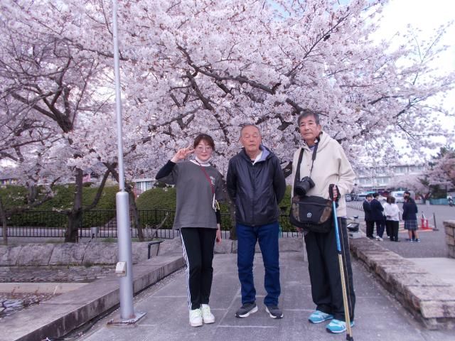 医療法人　泰山会の求人・転職情報