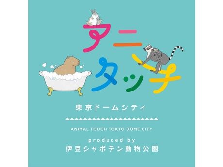 株式会社伊豆シャボテン公園の求人・転職情報