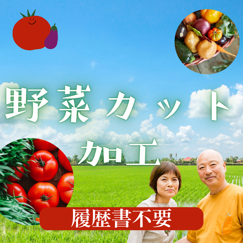 株式会社スカイキャリア(派遣先:福岡県糸島市)FUK025のアルバイト・バイト求人情報-02