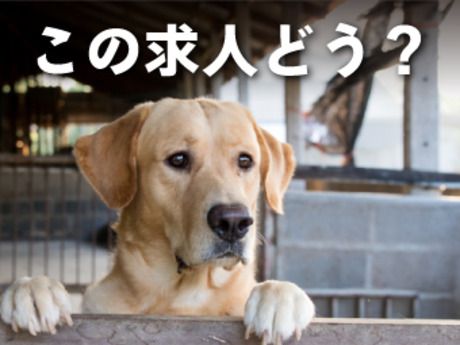 株式会社パワーキャスト 東大阪オフィス
