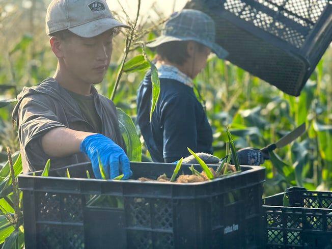 Ambitious Farm株式会社のアルバイト・バイト求人情報-03