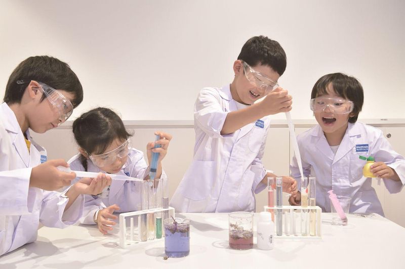 株式会社ウィズダムアカデミーの求人・転職情報