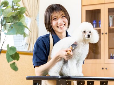 学校法人爽青会の求人・転職情報