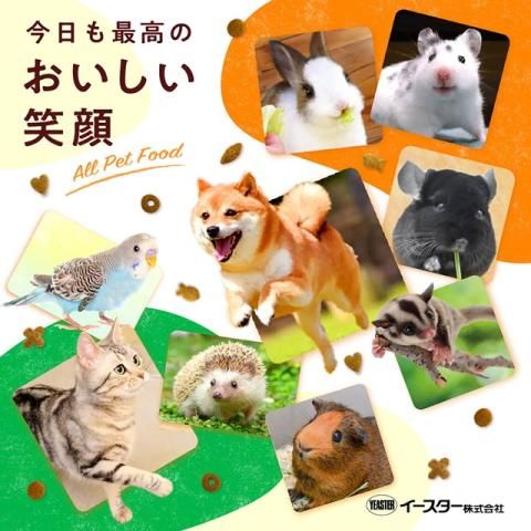 イースター株式会社の求人・転職情報