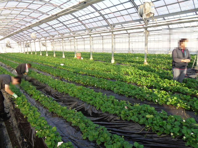 社会福祉法人ワーナーホーム　たんぽぽセンターの求人・転職情報-04