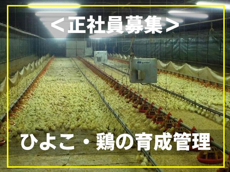 有限会社　新延孵化場の求人・転職情報