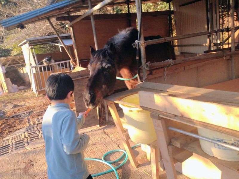 児童デイサービス　ぽにぃのアルバイト・バイト求人情報-03