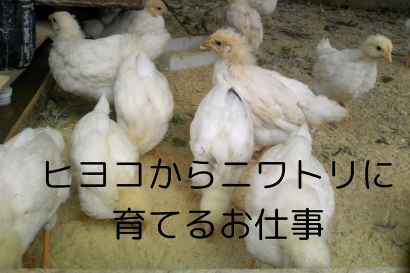しごと計画学校の求人・転職情報