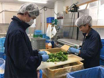 株式会社有倉商店/市川支社のアルバイト・バイト求人情報-03