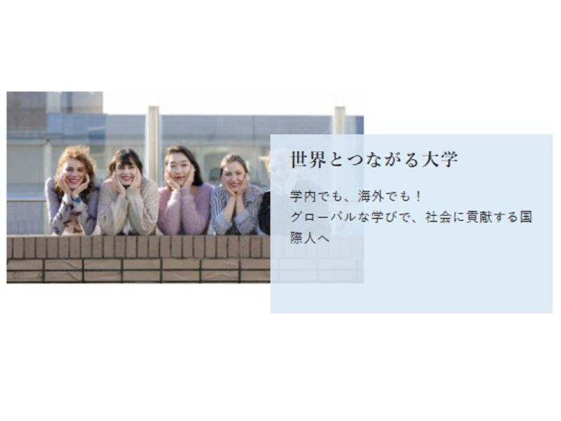 学校法人城西大学