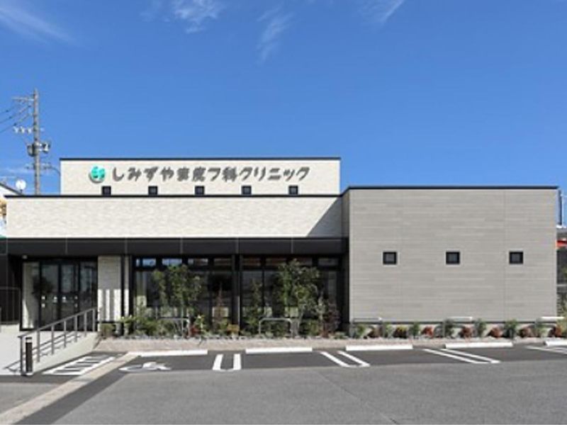 しみずやま皮フ科クリニックの求人・転職情報-01