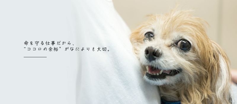 株式会社エム・ティ・エム(王寺動物病院)の求人・転職情報