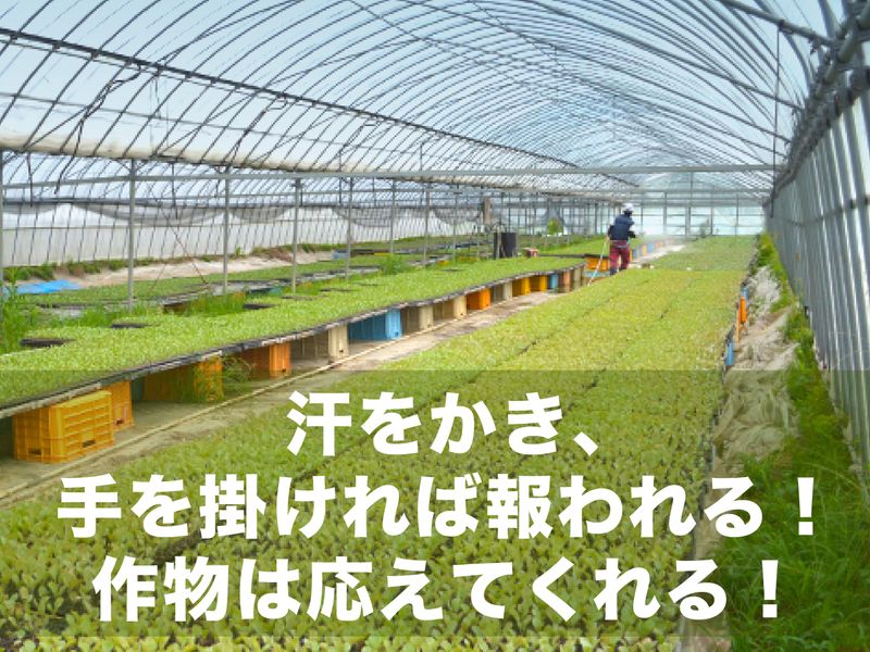 株式会社松原ファームのアルバイト・バイト求人情報-02