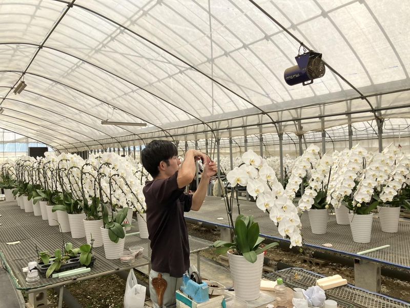 岡山農場のアルバイト・バイト求人情報-02