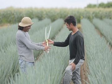 株式会社クリーン・ア・グリーンのアルバイト・バイト求人情報-03