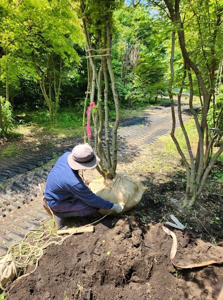 有限会社佐藤樹販